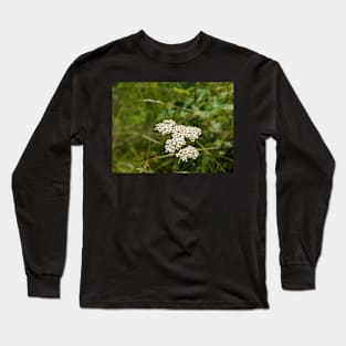 White bunch flowers in field Long Sleeve T-Shirt